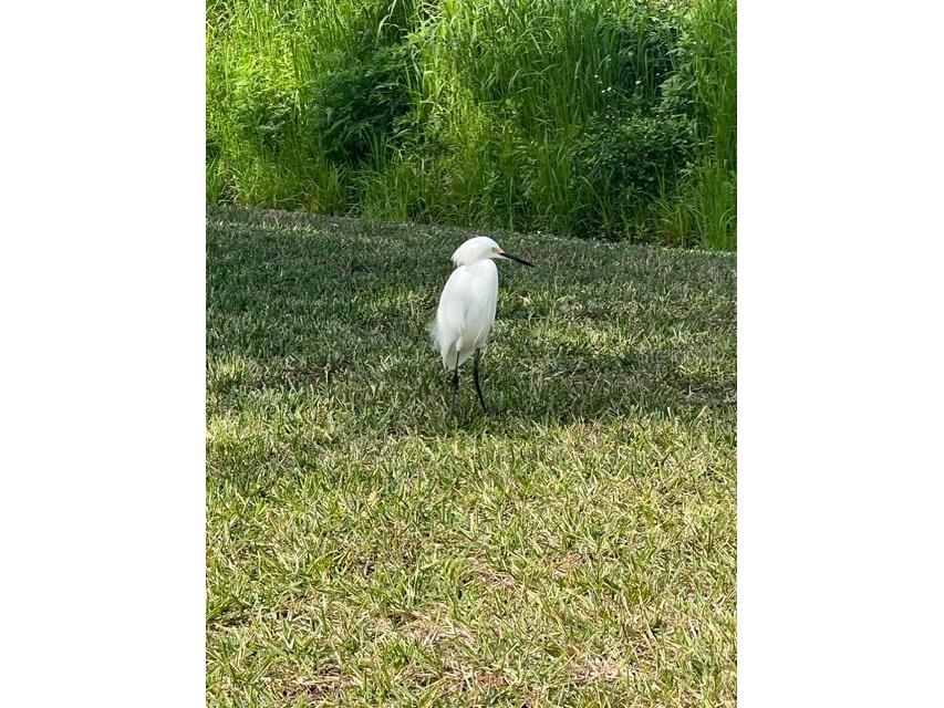 12424 Grouse Avenue #15A Port Charlotte FL 33981 C7519002 image40