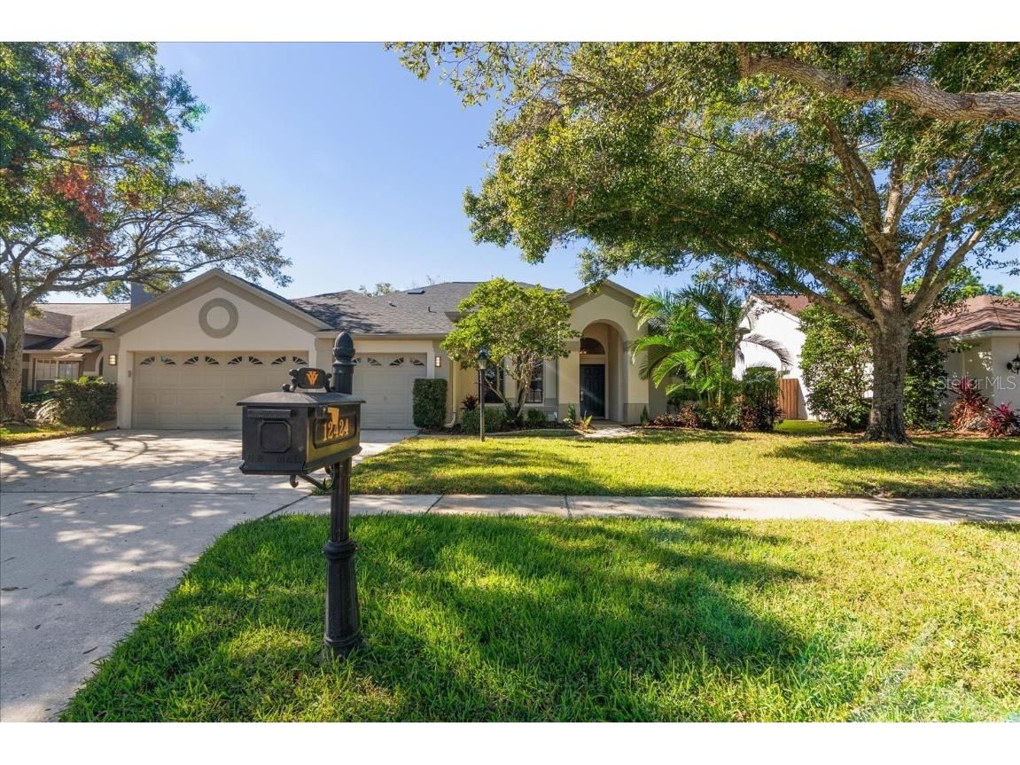 12424 Seabrook Drive Tampa FL 33626 TB8324534 image1