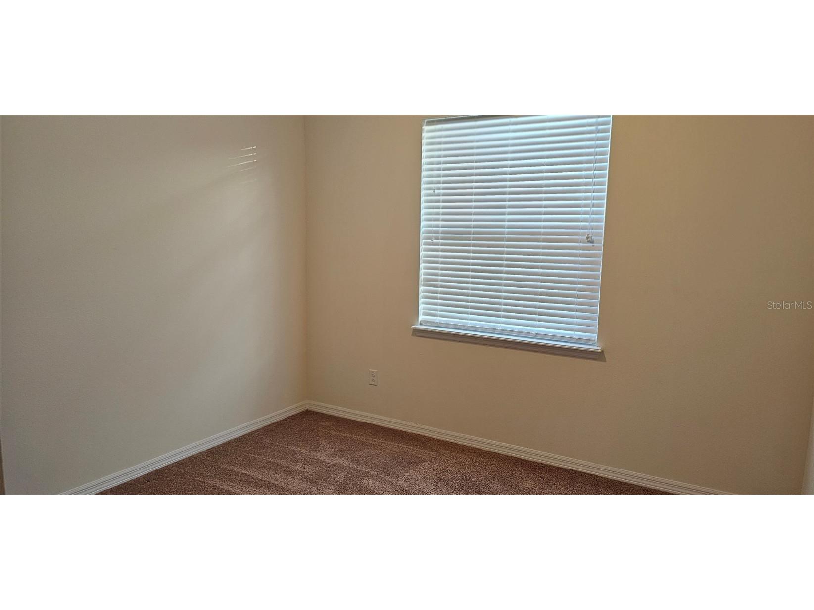 12425 Fairlawn Drive Riverview FL 33579 TB8425037 image19