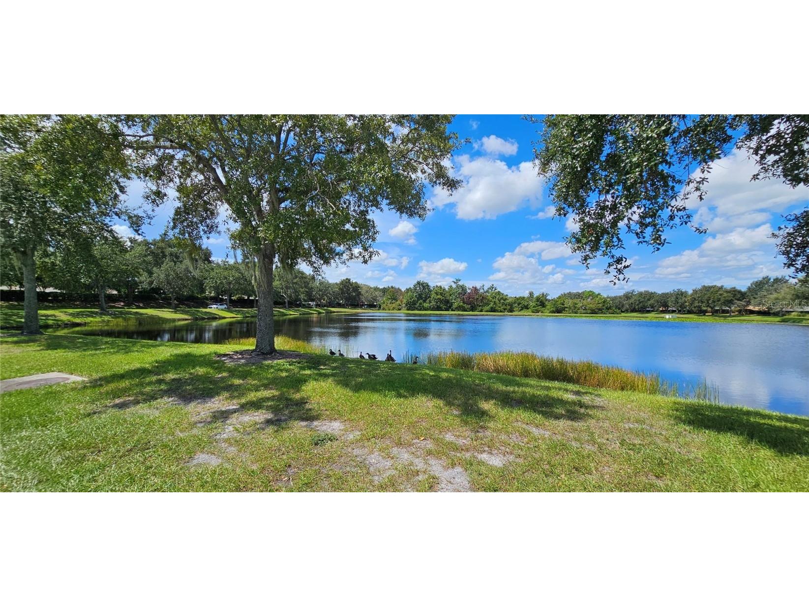 12425 Fairlawn Drive Riverview FL 33579 TB8425037 image39