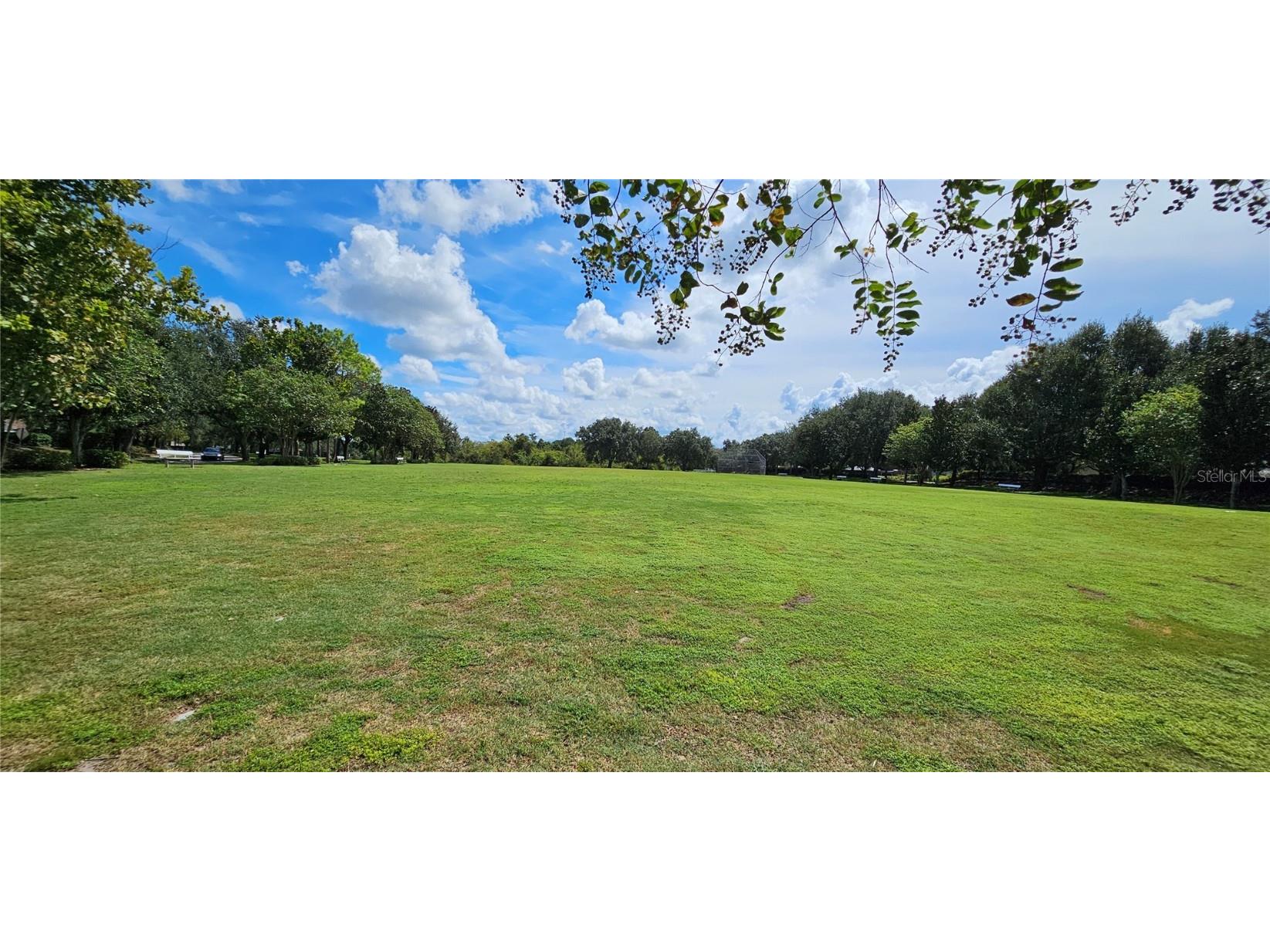 12425 Fairlawn Drive Riverview FL 33579 TB8425037 image42