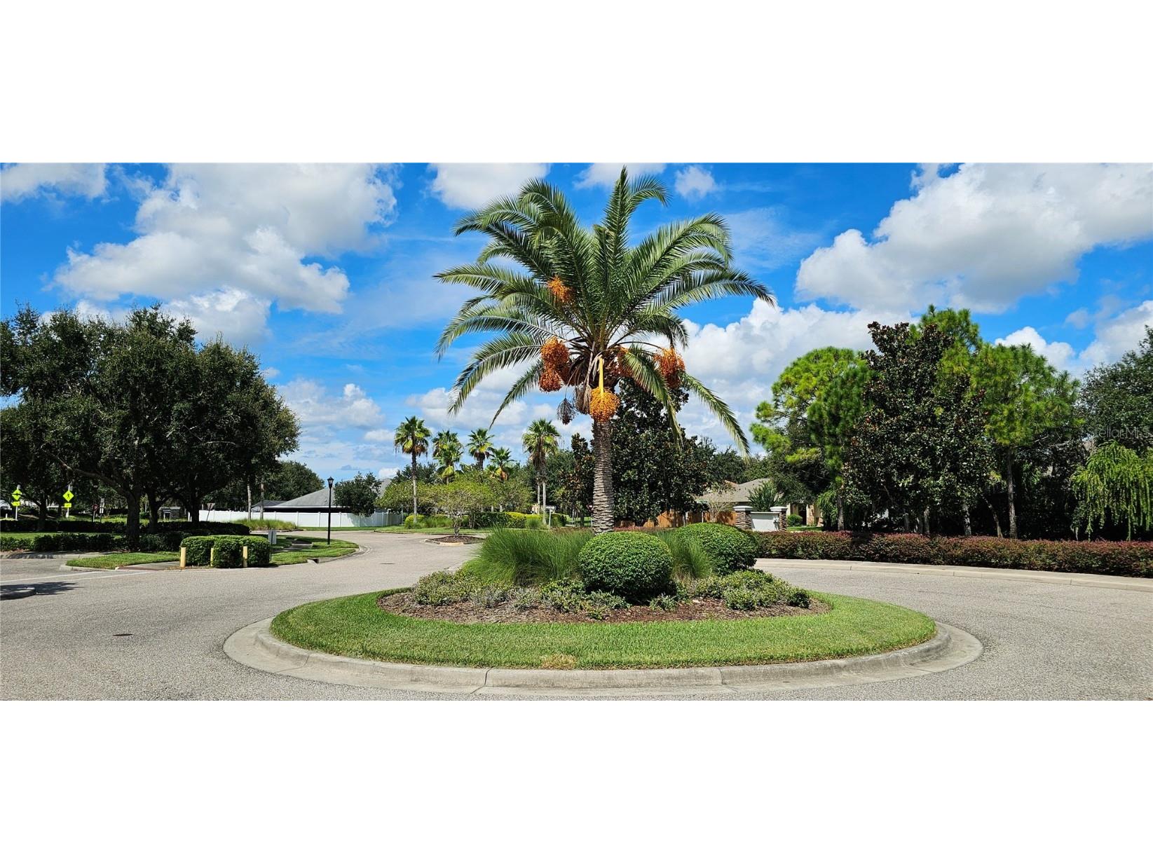 12425 Fairlawn Drive Riverview FL 33579 TB8446531 image24