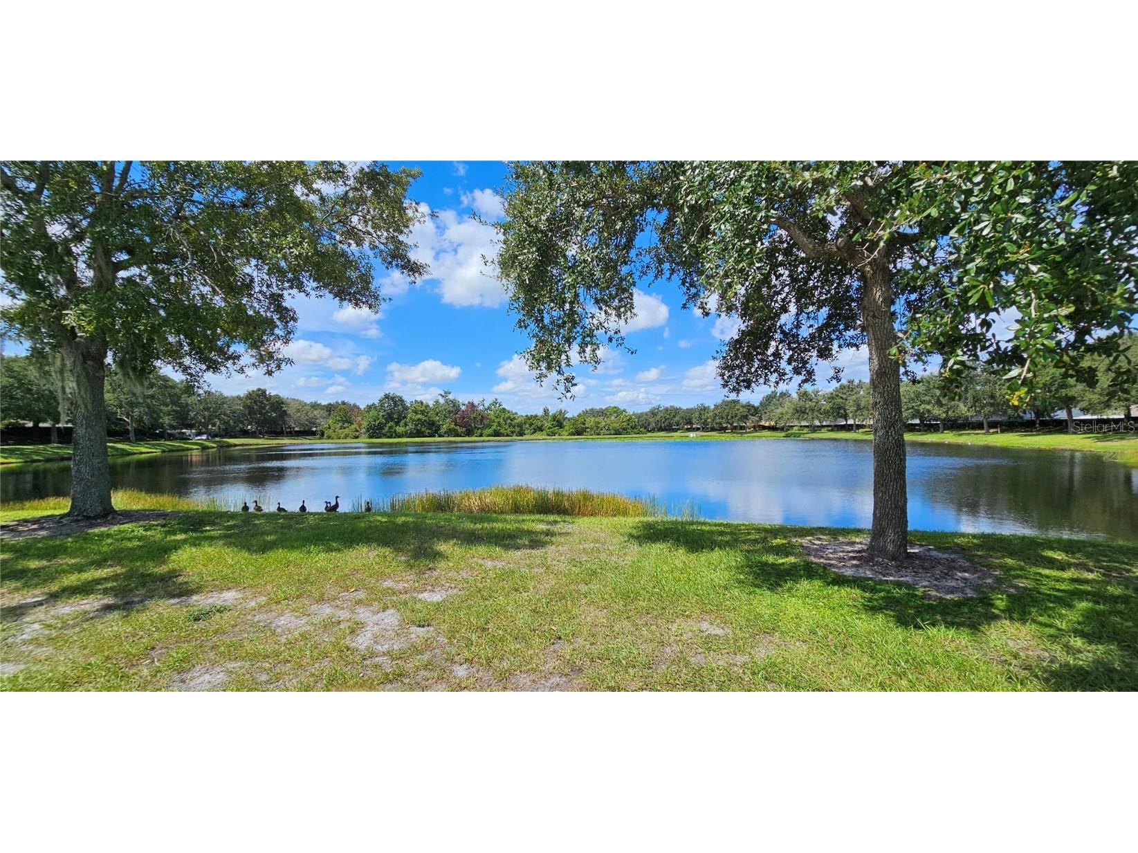 12425 Fairlawn Drive Riverview FL 33579 TB8446531 image25