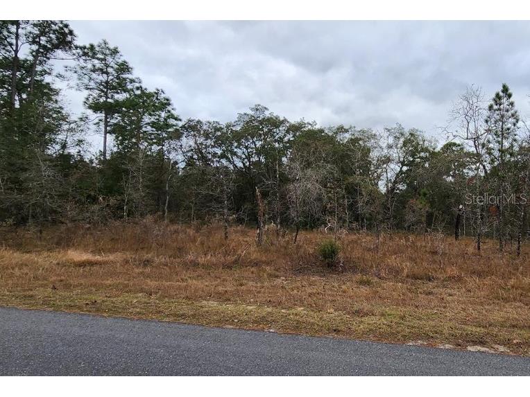 Maleo Road Weeki Wachee FL 34614 TB8494106 image1