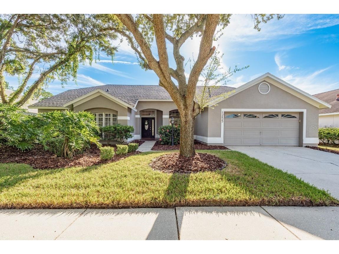 12425 Seabrook Drive Tampa FL 33626 TB8428651 image1