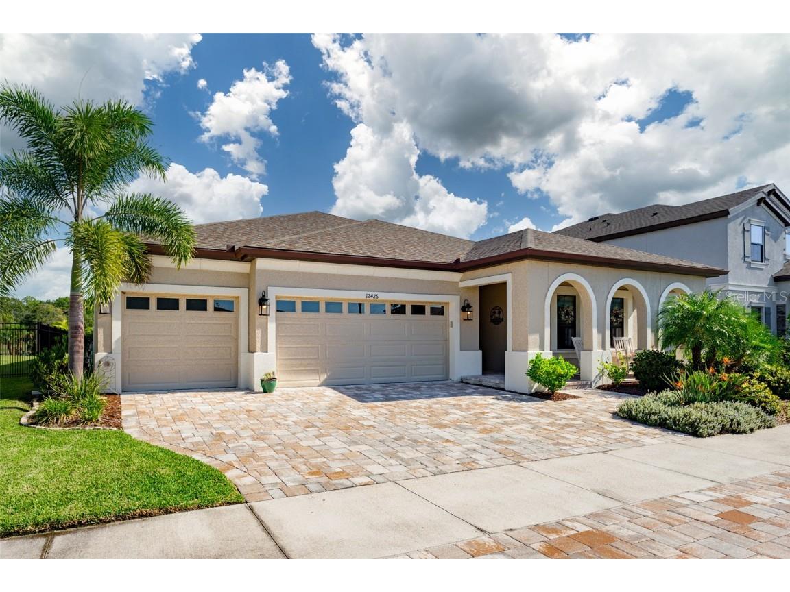 12426 Horseshoe Bend Drive Lithia FL 33547 T3480684 image1