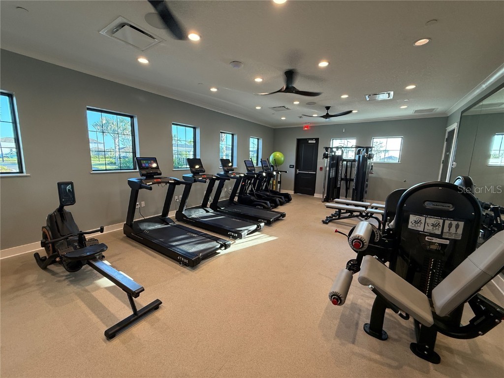 12426 Radiant Crystal Rose Place Parrish FL 34219 A4675423 image41