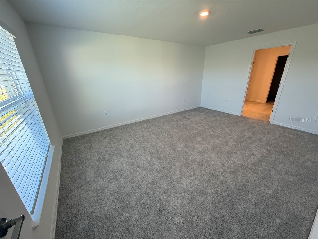 12426 Radiant Crystal Rose Place Parrish FL 34219 A4675423 image9