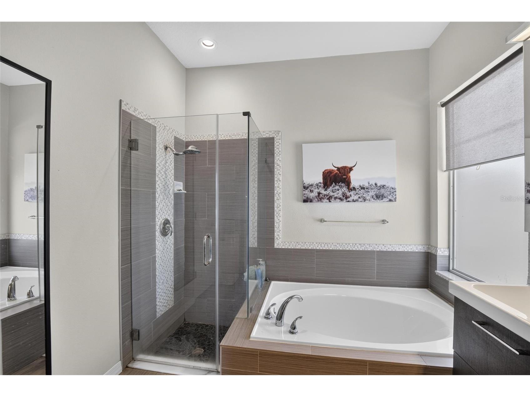 12426 Windmill Cove Drive Riverview FL 33569 TB8525837 image20