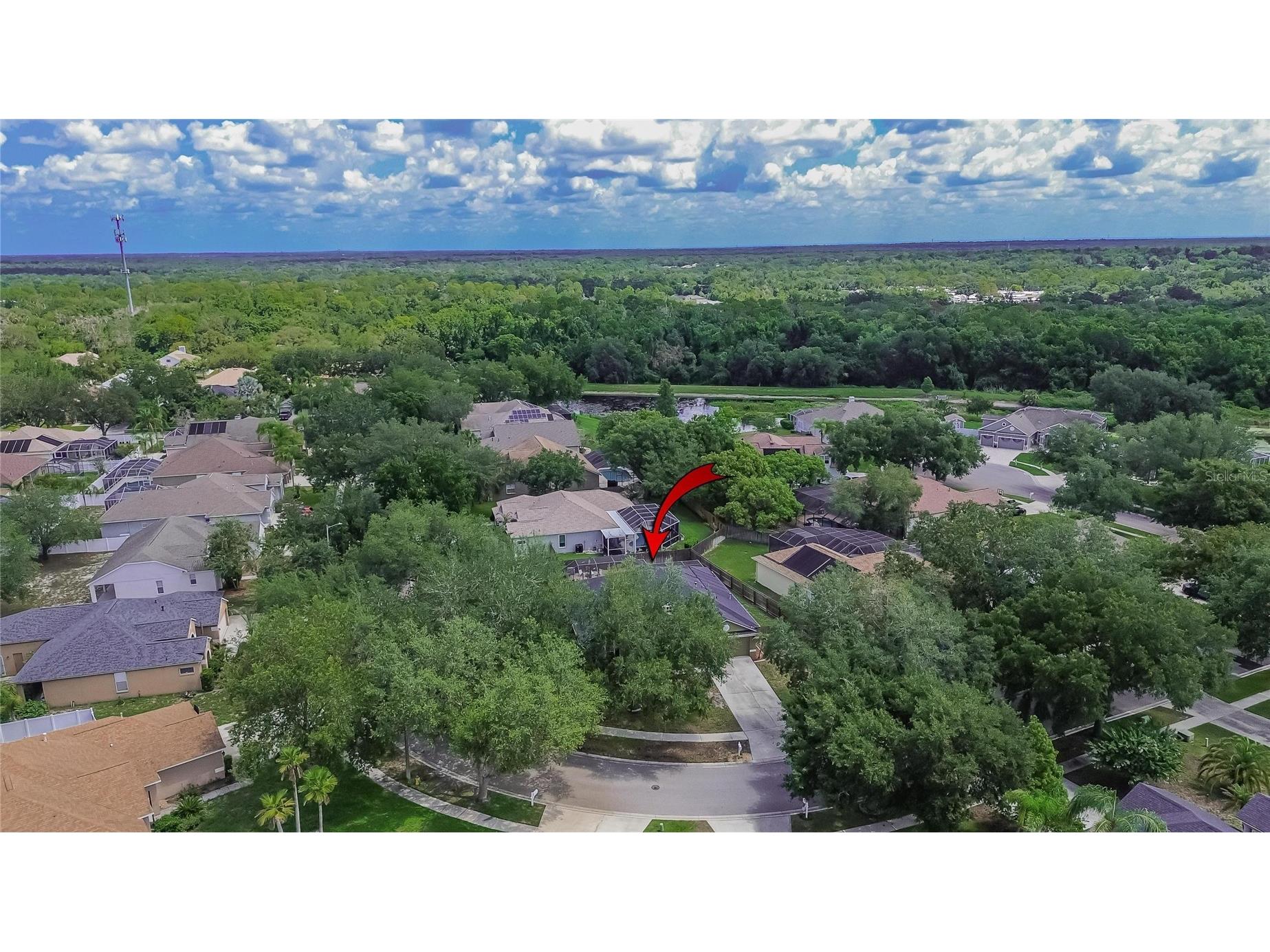 12426 Windmill Cove Drive Riverview FL 33569 TB8525837 image49
