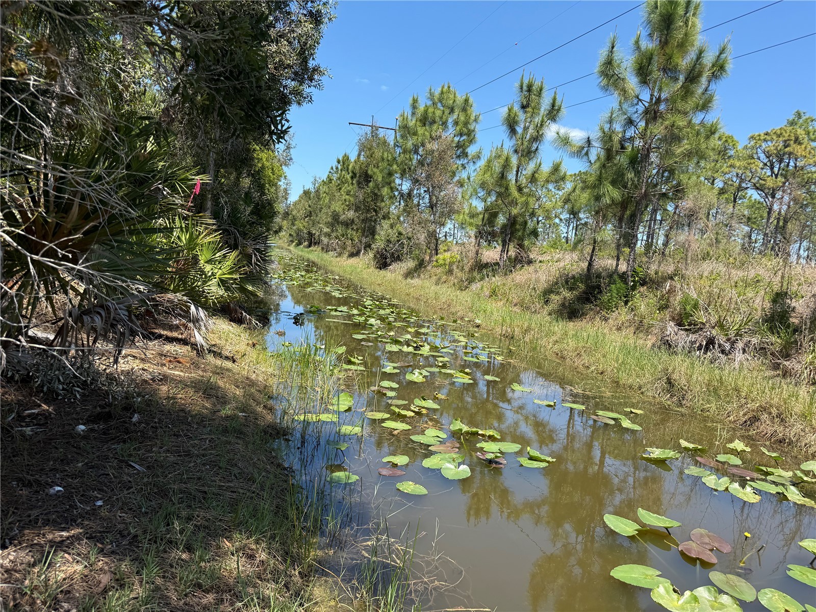 12428 Caravan Drive Punta Gorda FL 33955 A4693186 image19