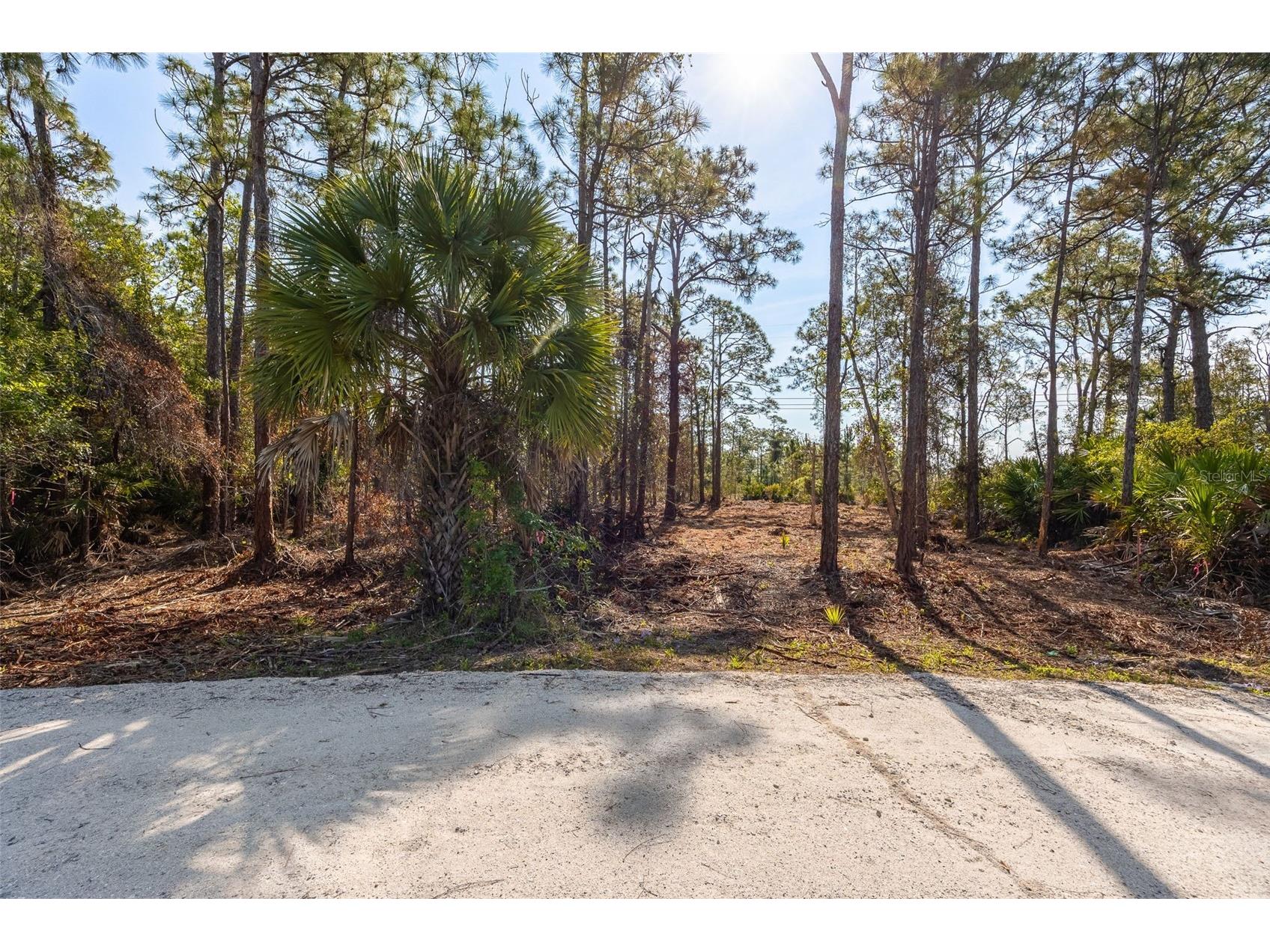 12428 Caravan Drive Punta Gorda FL 33955 A4693186 image8