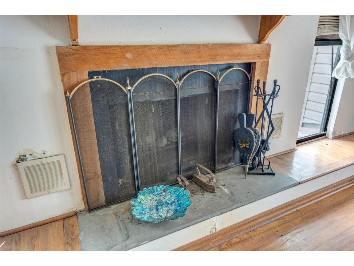 12428 Kelso Road Thonotosassa FL 33592 - LAKE THONOTOSASSA TB8428117 image13