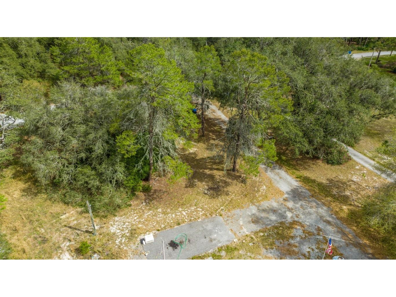 12428 Kelso Road Thonotosassa FL 33592 - LAKE THONOTOSASSA TB8428117 image17