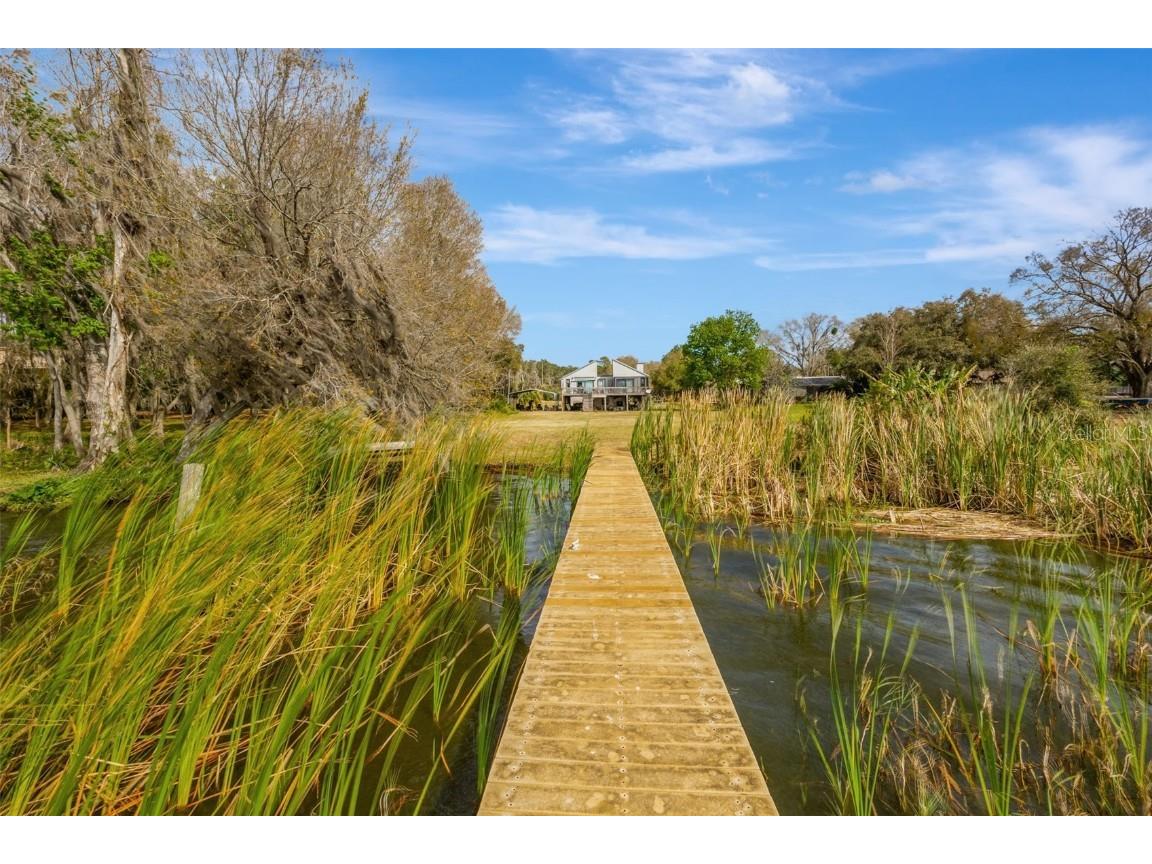 12428 Kelso Road Thonotosassa FL 33592 - LAKE THONOTOSASSA TB8428117 image50