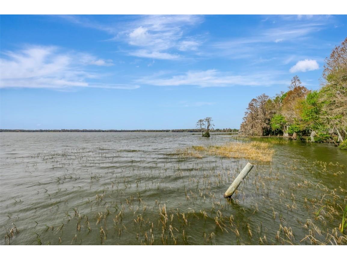 12428 Kelso Road Thonotosassa FL 33592 - LAKE THONOTOSASSA TB8428117 image51