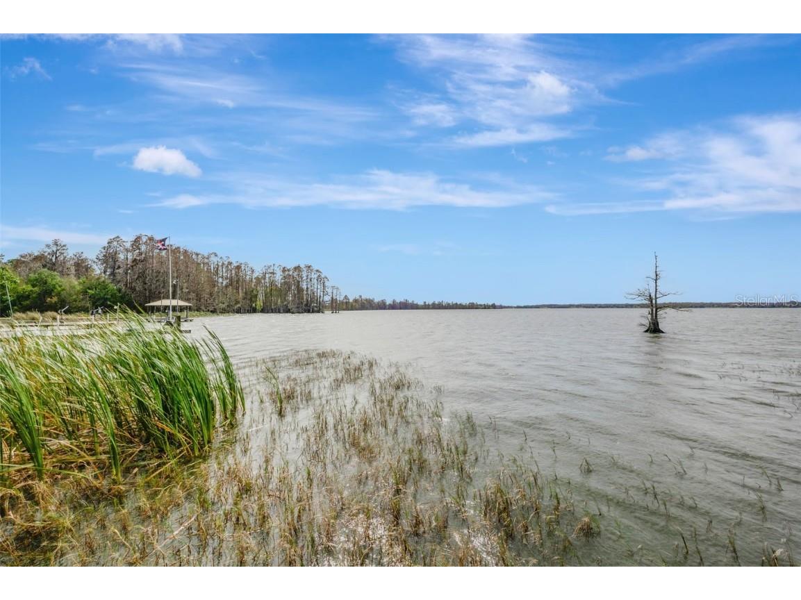 12428 Kelso Road Thonotosassa FL 33592 - LAKE THONOTOSASSA TB8428117 image52