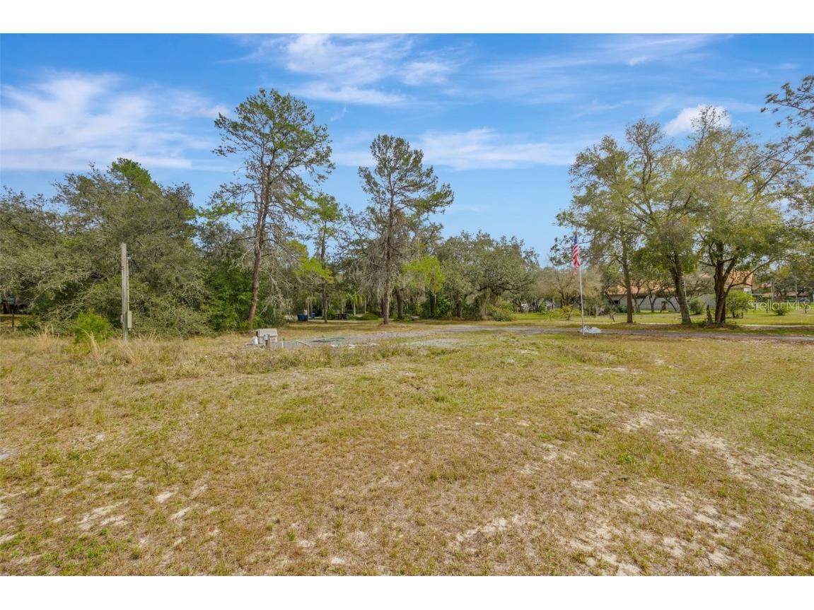 12428 Kelso Road Thonotosassa FL 33592 - LAKE THONOTOSASSA TB8428117 image56