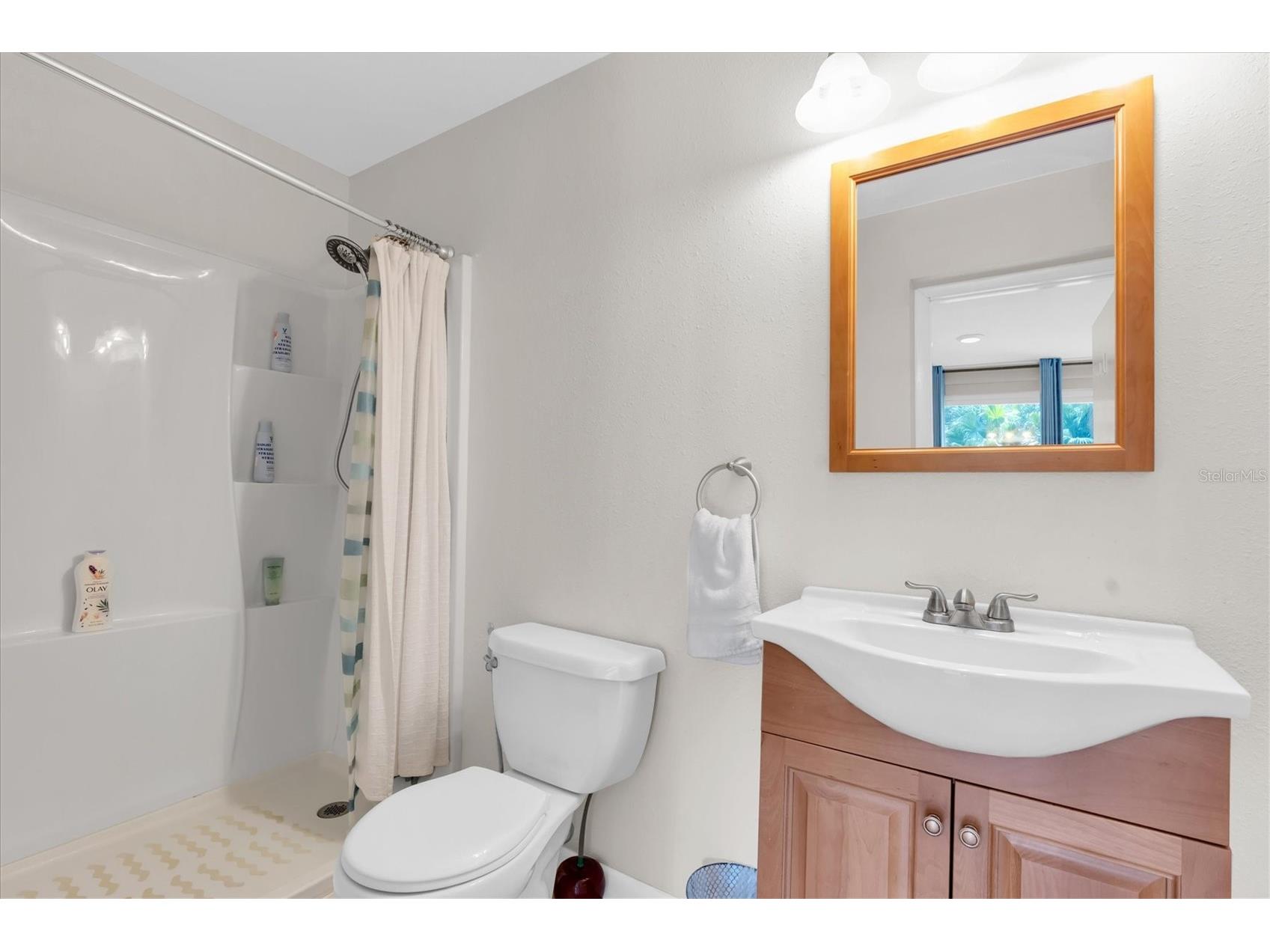 1243 Brookside Drive Clearwater FL 33764 TB8504726 image26