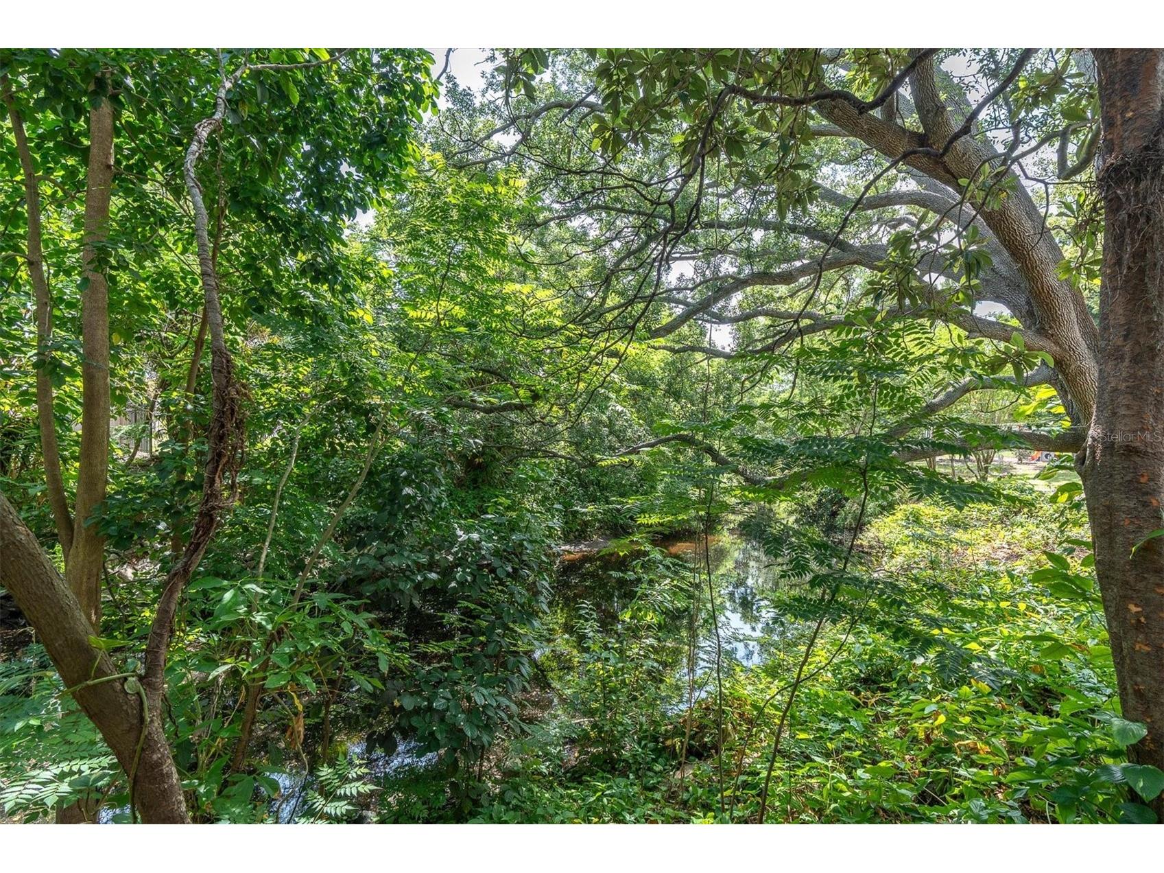1243 Brookside Drive Clearwater FL 33764 TB8504726 image44