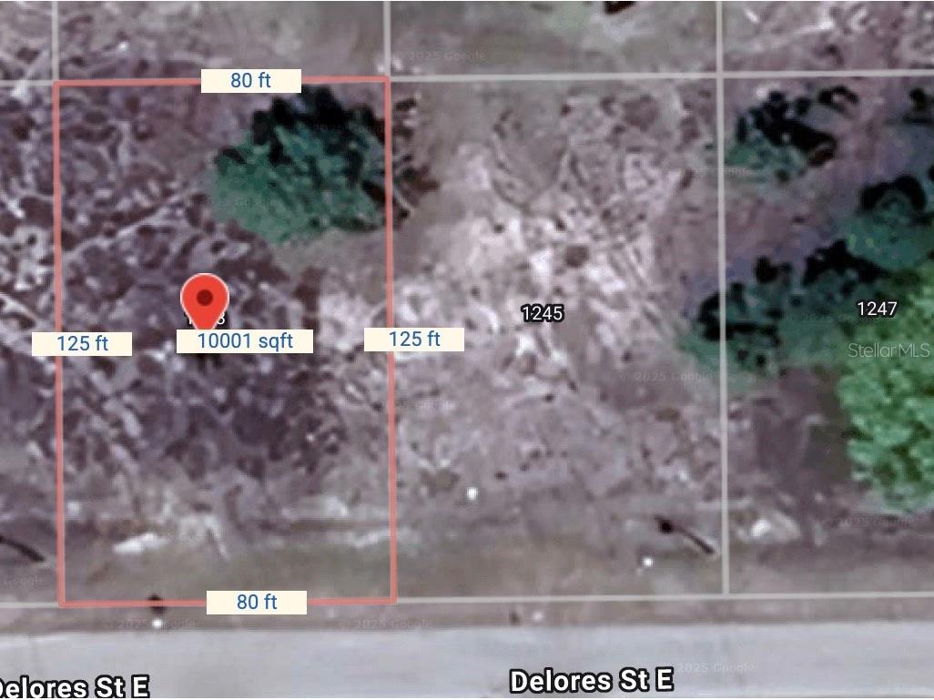 1243 Delores Street E Lehigh Acres FL 33974 O6312135 image2