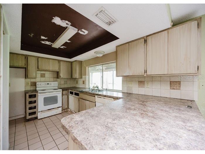 1243 Royal Oak Drive Dunedin FL 34698 TB8432315 image10