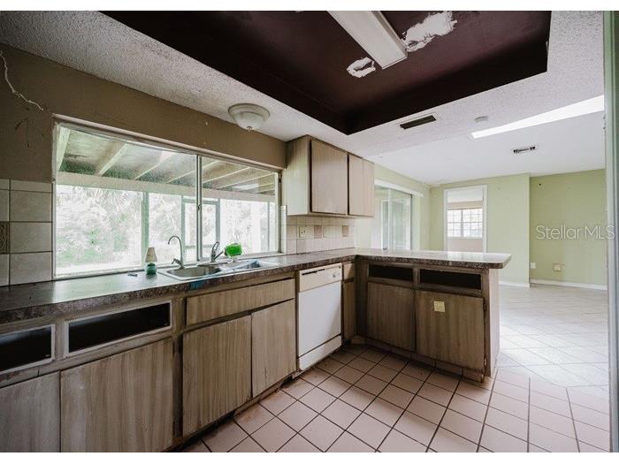 1243 Royal Oak Drive Dunedin FL 34698 TB8432315 image11