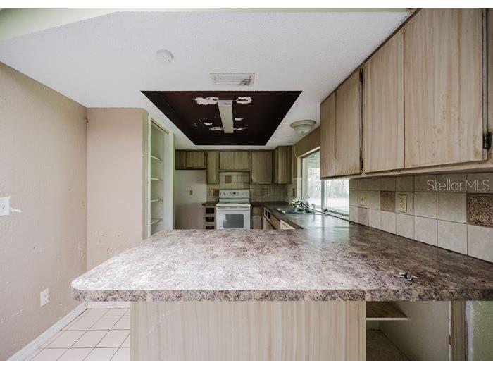 1243 Royal Oak Drive Dunedin FL 34698 TB8432315 image12