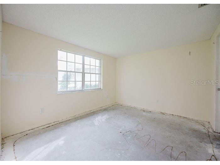 1243 Royal Oak Drive Dunedin FL 34698 TB8432315 image13