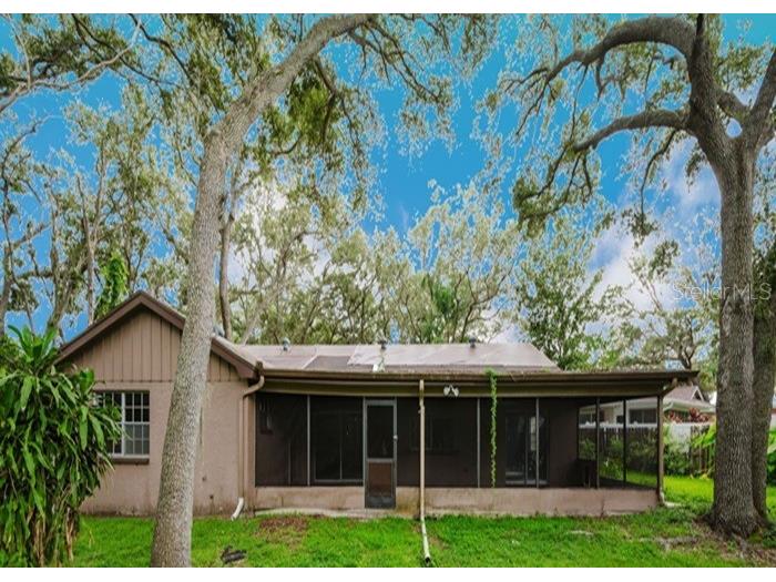 1243 Royal Oak Drive Dunedin FL 34698 TB8432315 image3