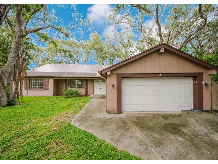 1243 Royal Oak Drive Dunedin FL 34698 TB8432315 image4