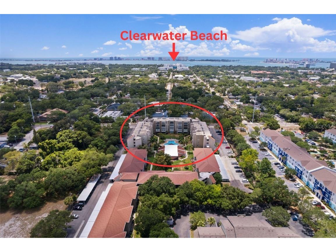 1243 S Martin Luther King Jr Avenue #B204 Clearwater FL 33756 TB8318528 image1