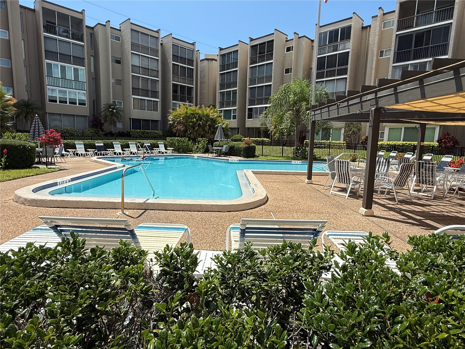 1243 S Martin Luther King Jr Avenue #C303 Clearwater FL 33756 TB8518488 image14