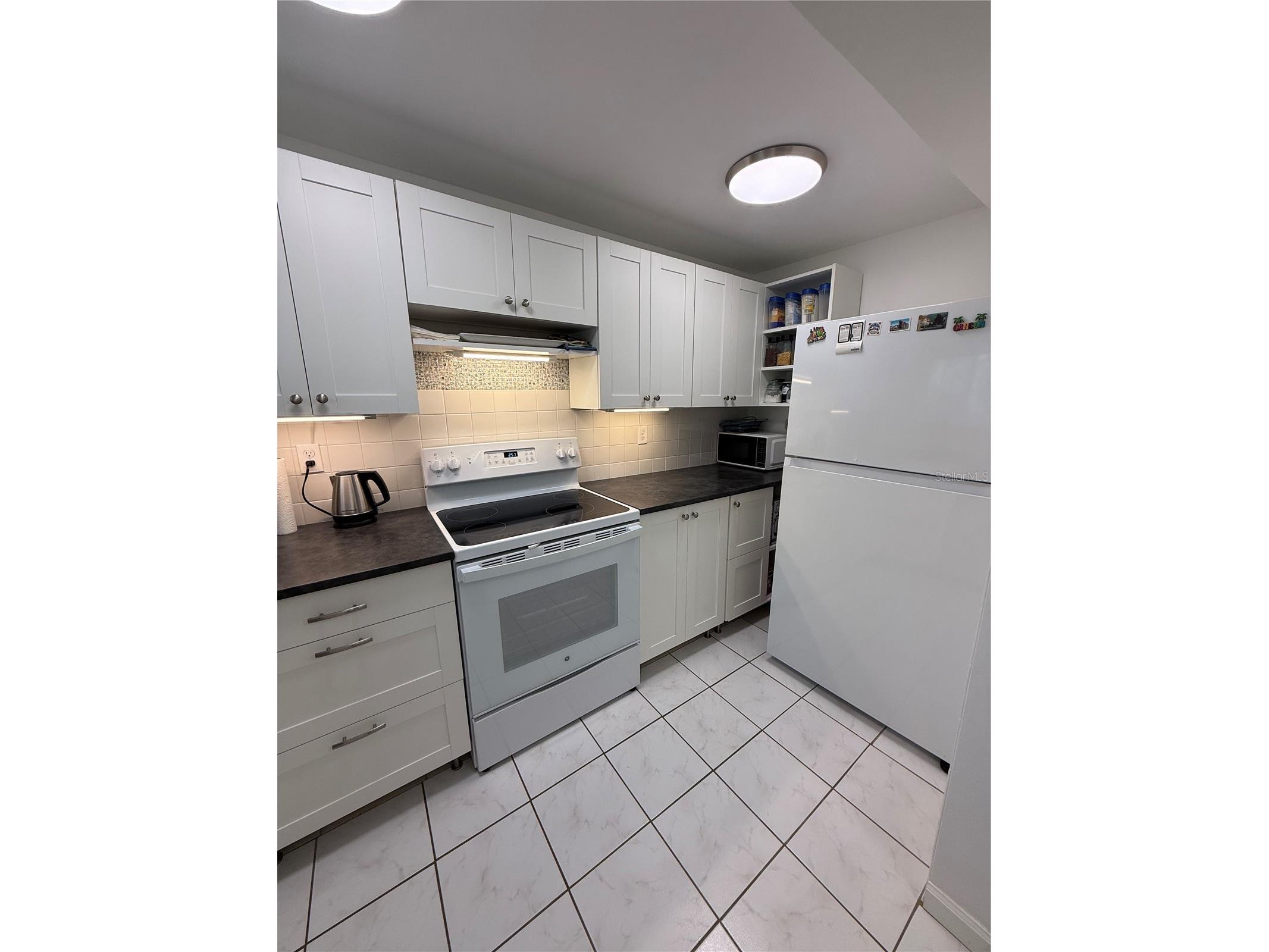 1243 S Martin Luther King Jr Avenue #C303 Clearwater FL 33756 TB8518488 image4