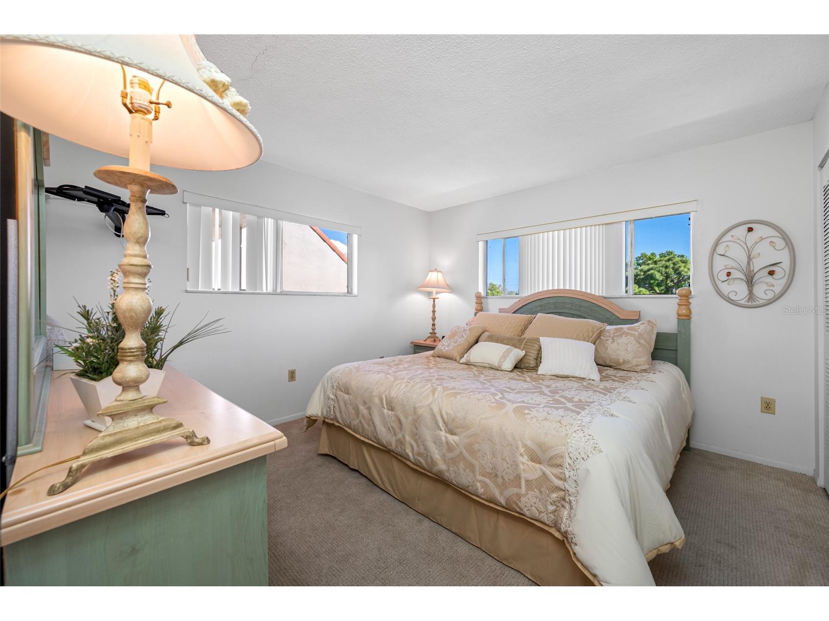 1243 S Martin Luther King Jr Avenue #C505 Clearwater FL 33756 TB8502414 image29