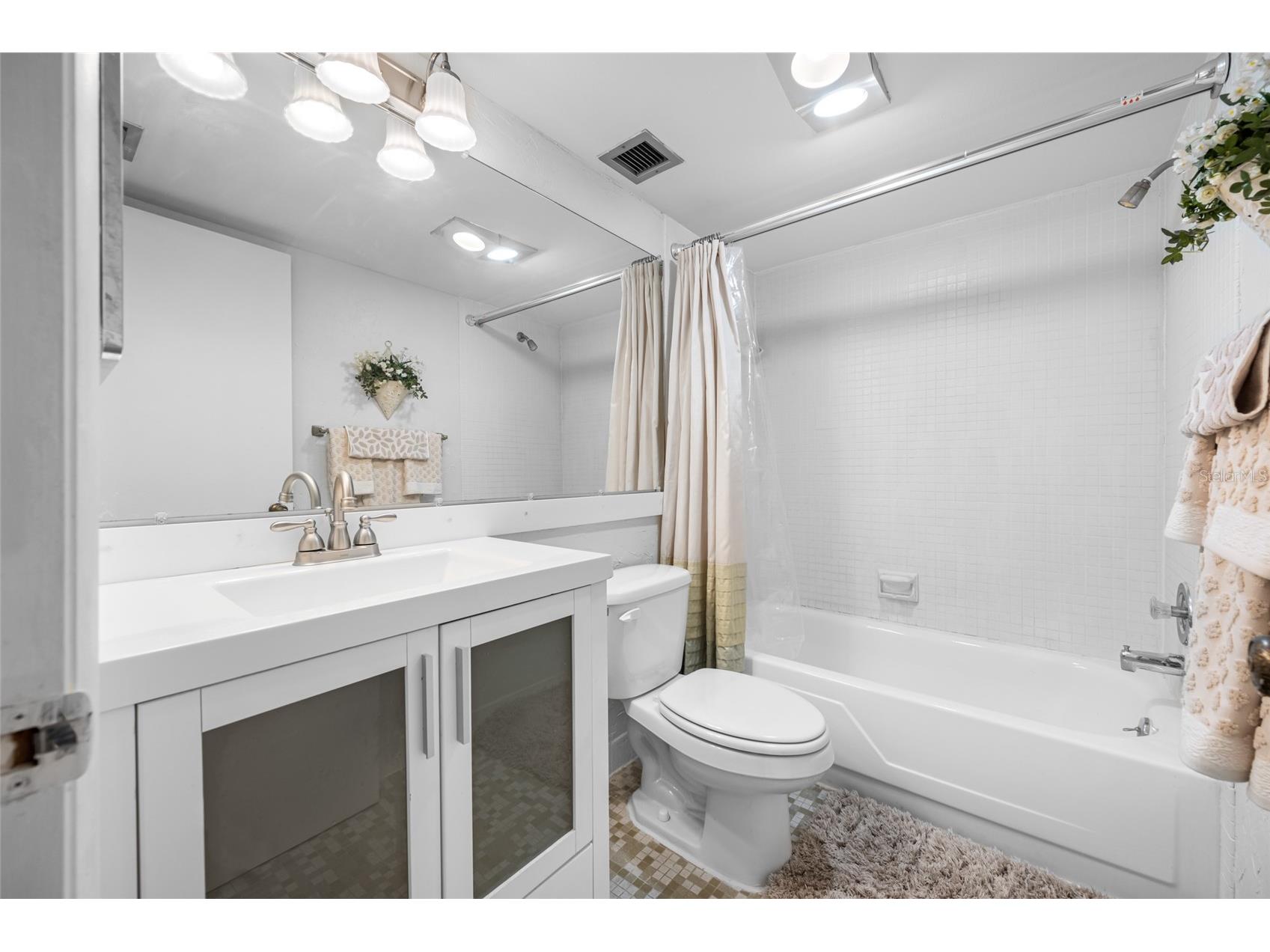 1243 S Martin Luther King Jr Avenue #C505 Clearwater FL 33756 TB8502414 image33