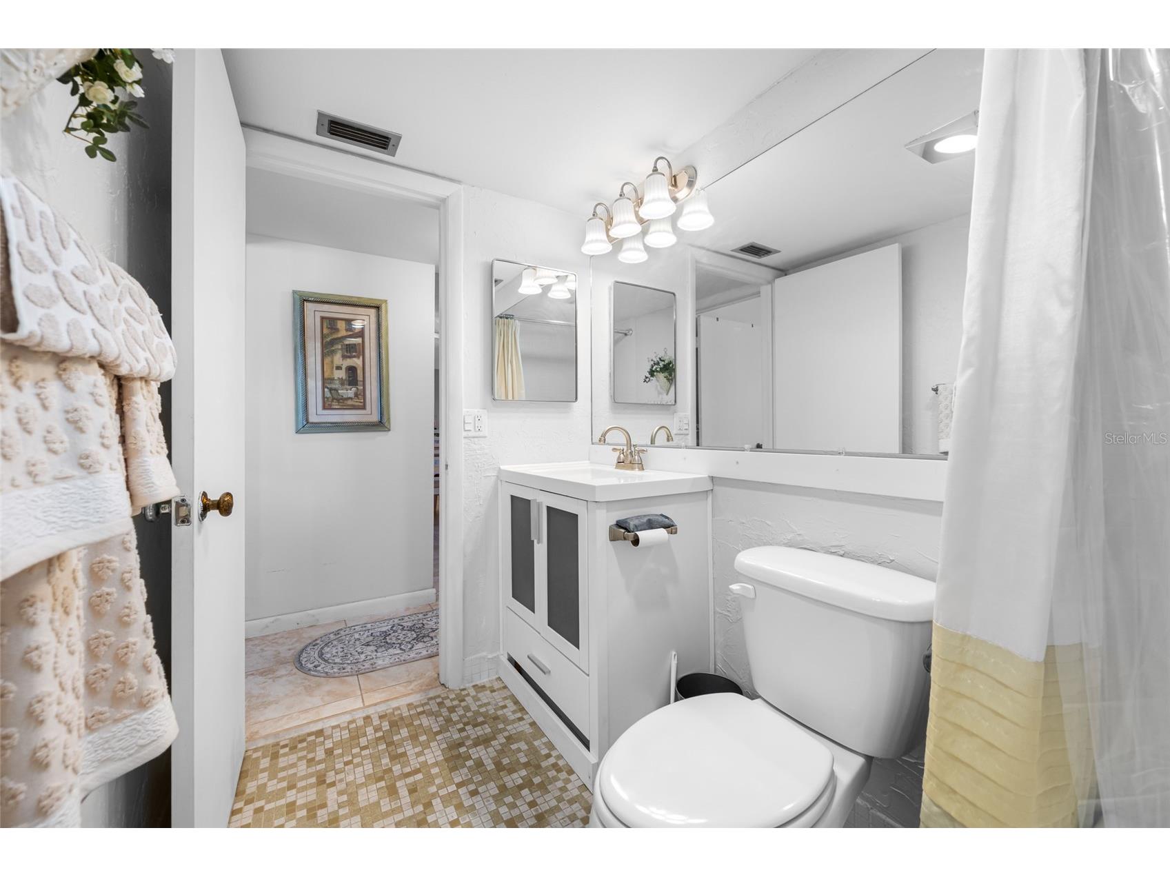 1243 S Martin Luther King Jr Avenue #C505 Clearwater FL 33756 TB8502414 image34