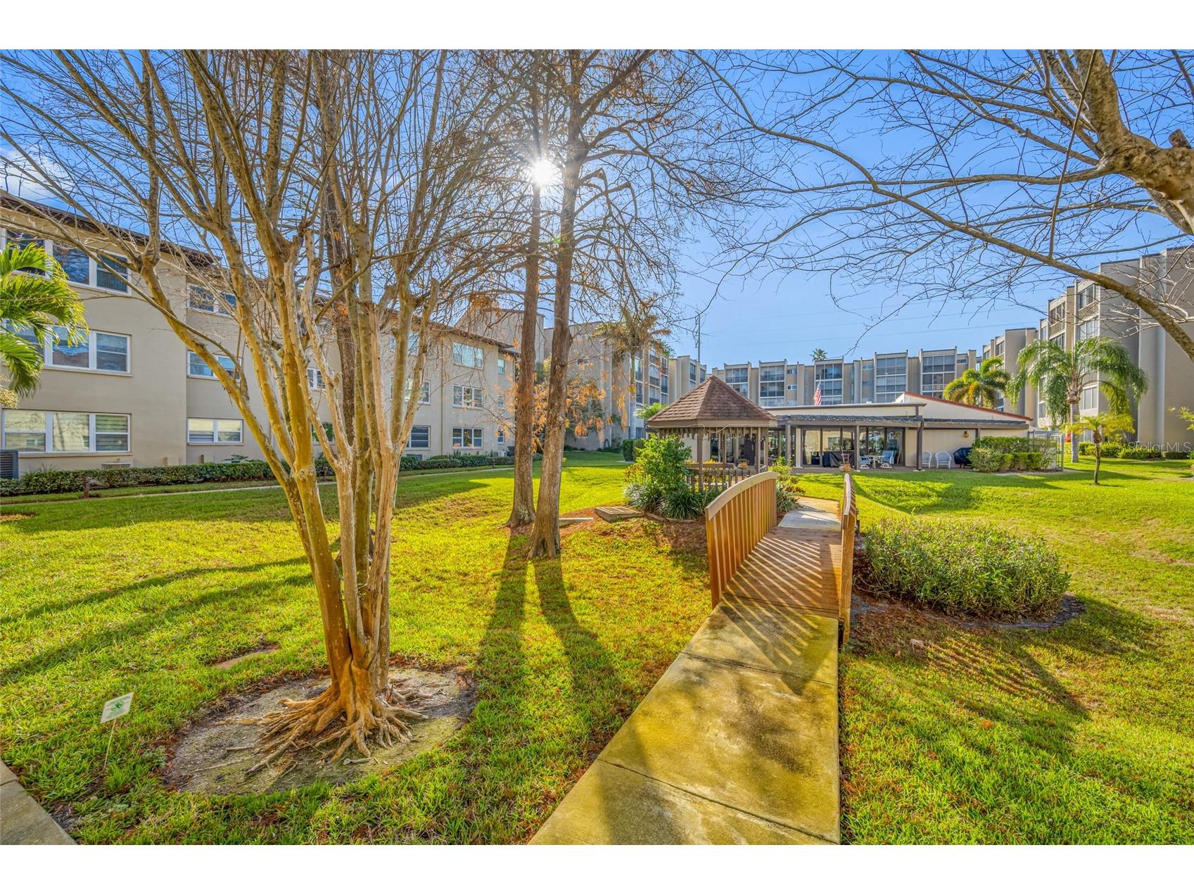1243 S Martin Luther King Jr Avenue #C505 Clearwater FL 33756 TB8502414 image40