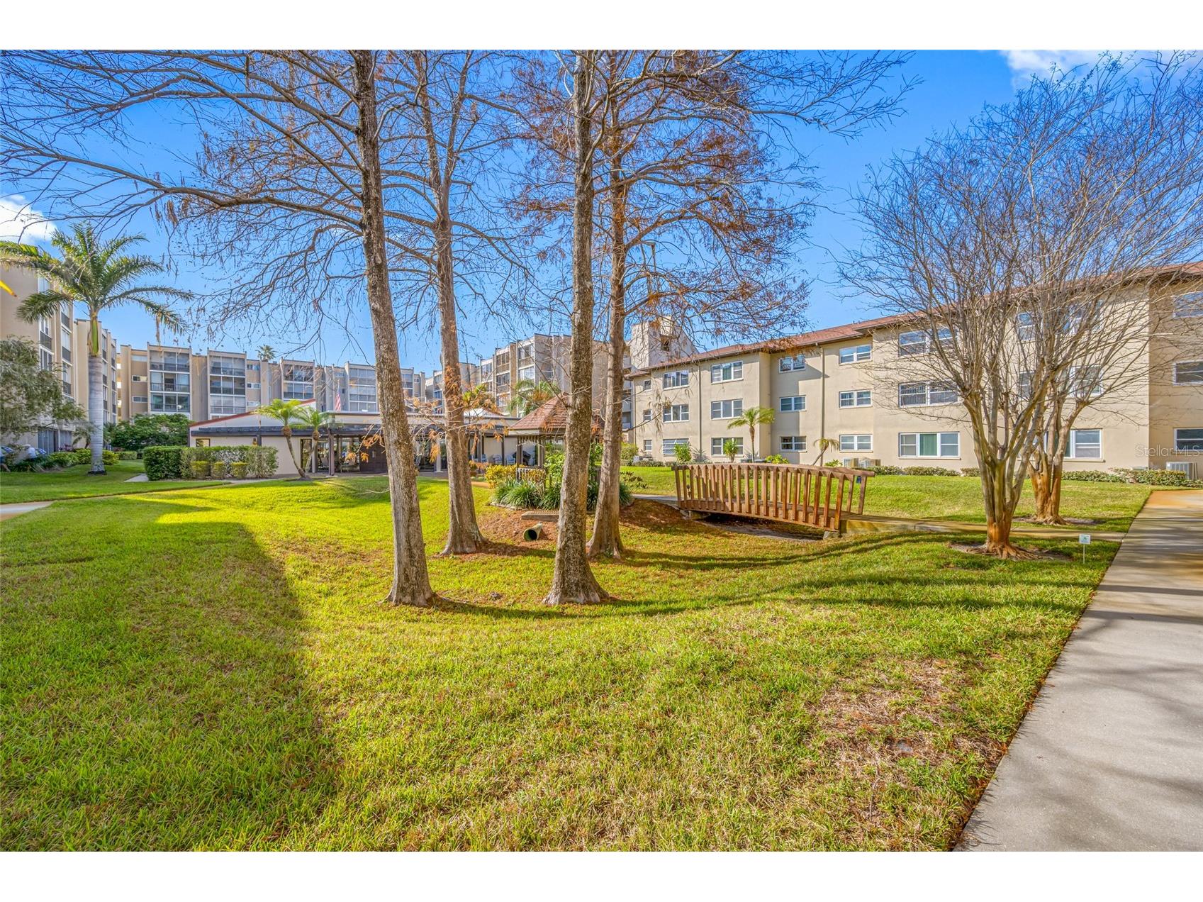 1243 S Martin Luther King Jr Avenue #C505 Clearwater FL 33756 TB8502414 image41