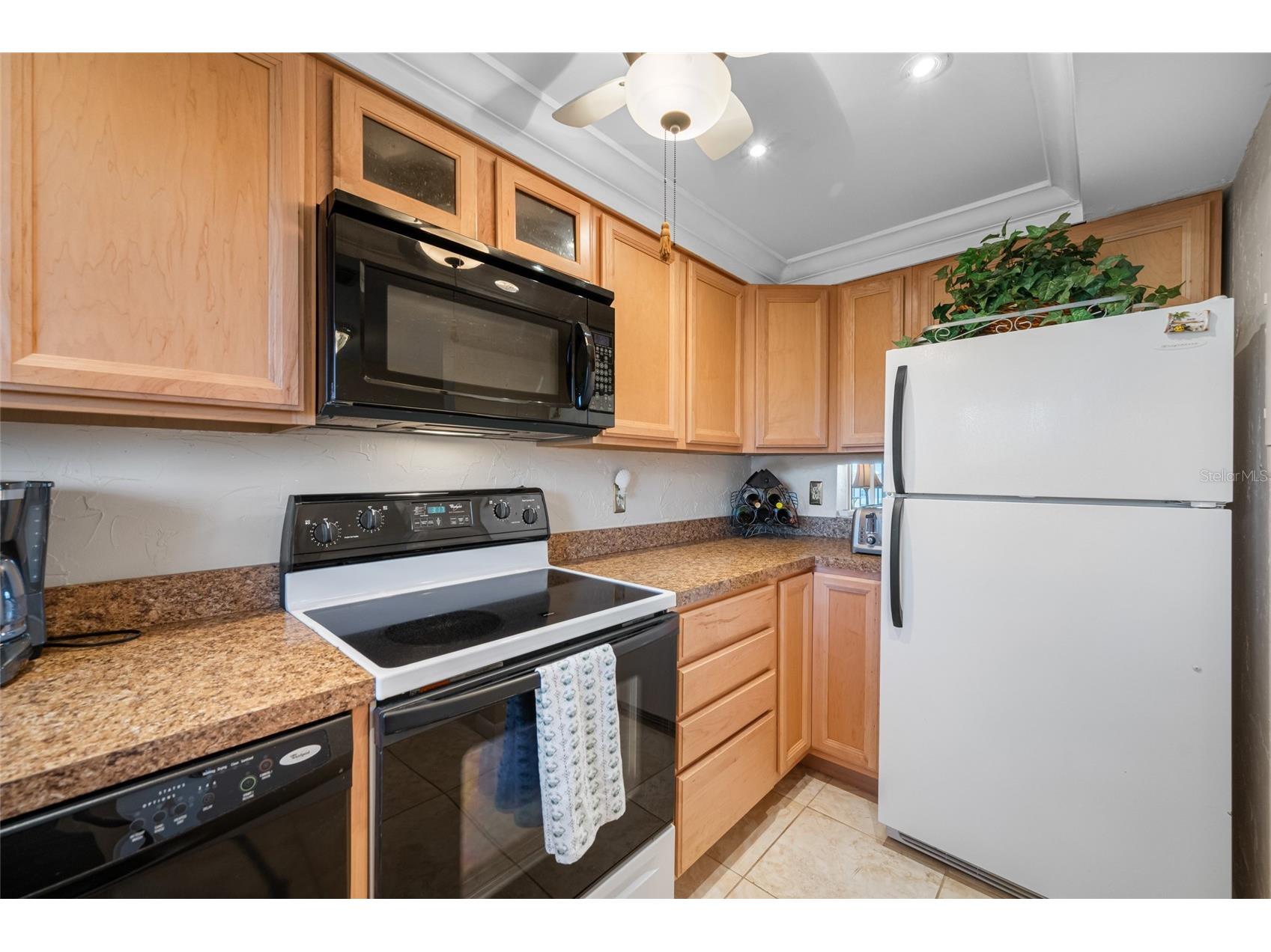 1243 S Martin Luther King Jr Avenue #C505 Clearwater FL 33756 TB8502414 image7