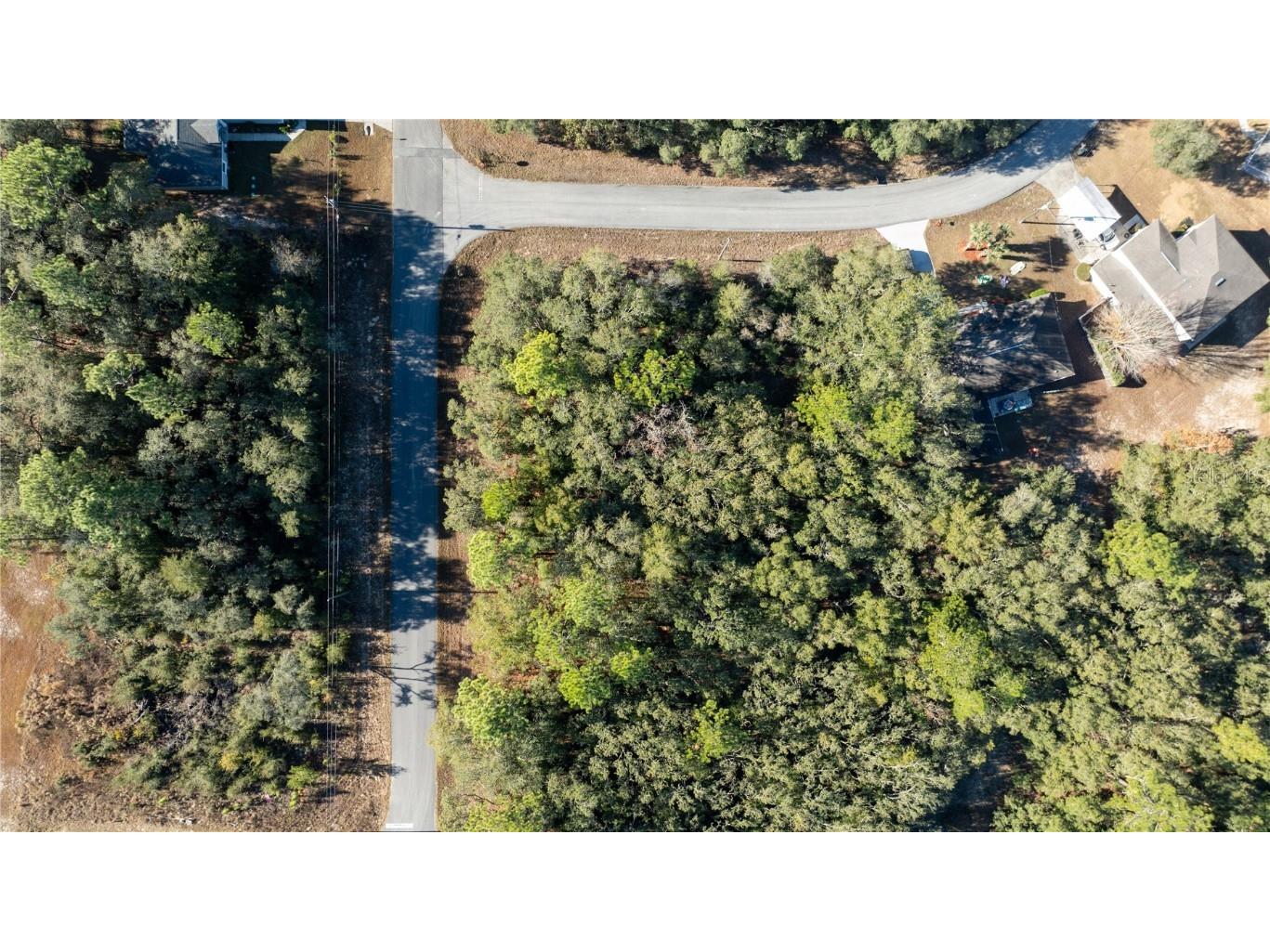 1243 W Shady Lane Dunnellon FL 34434 OM691461 image1