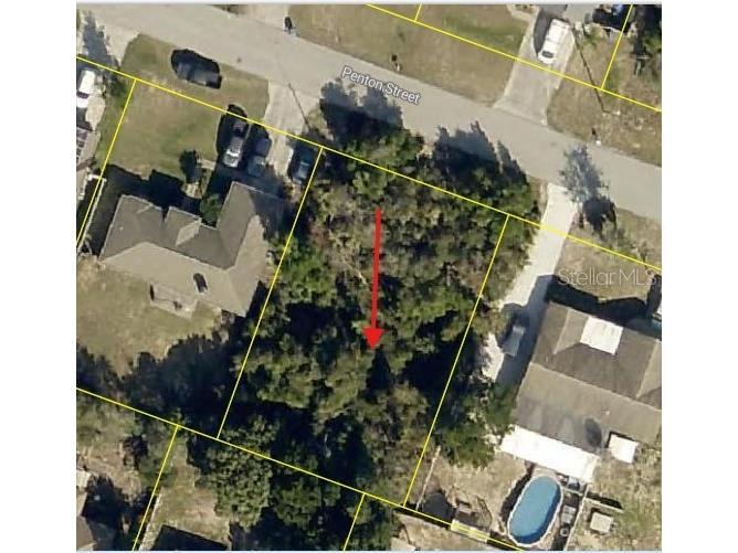 12432 Penton Street Spring Hill FL 34608 W7882854 image3