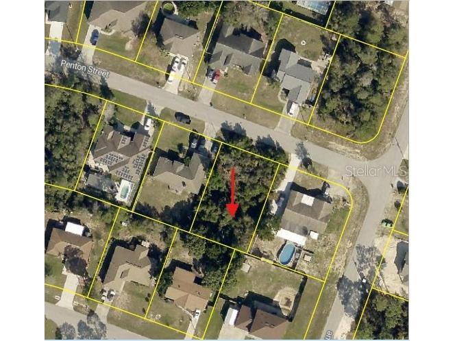 12432 Penton Street Spring Hill FL 34608 W7882854 image5