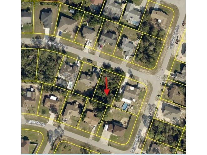 12432 Penton Street Spring Hill FL 34608 W7882854 image6