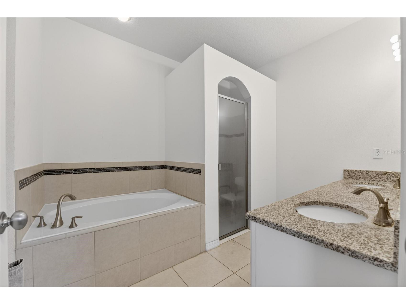 12433 Ballentrae Forest Drive Riverview FL 33579 TB8506794 image18