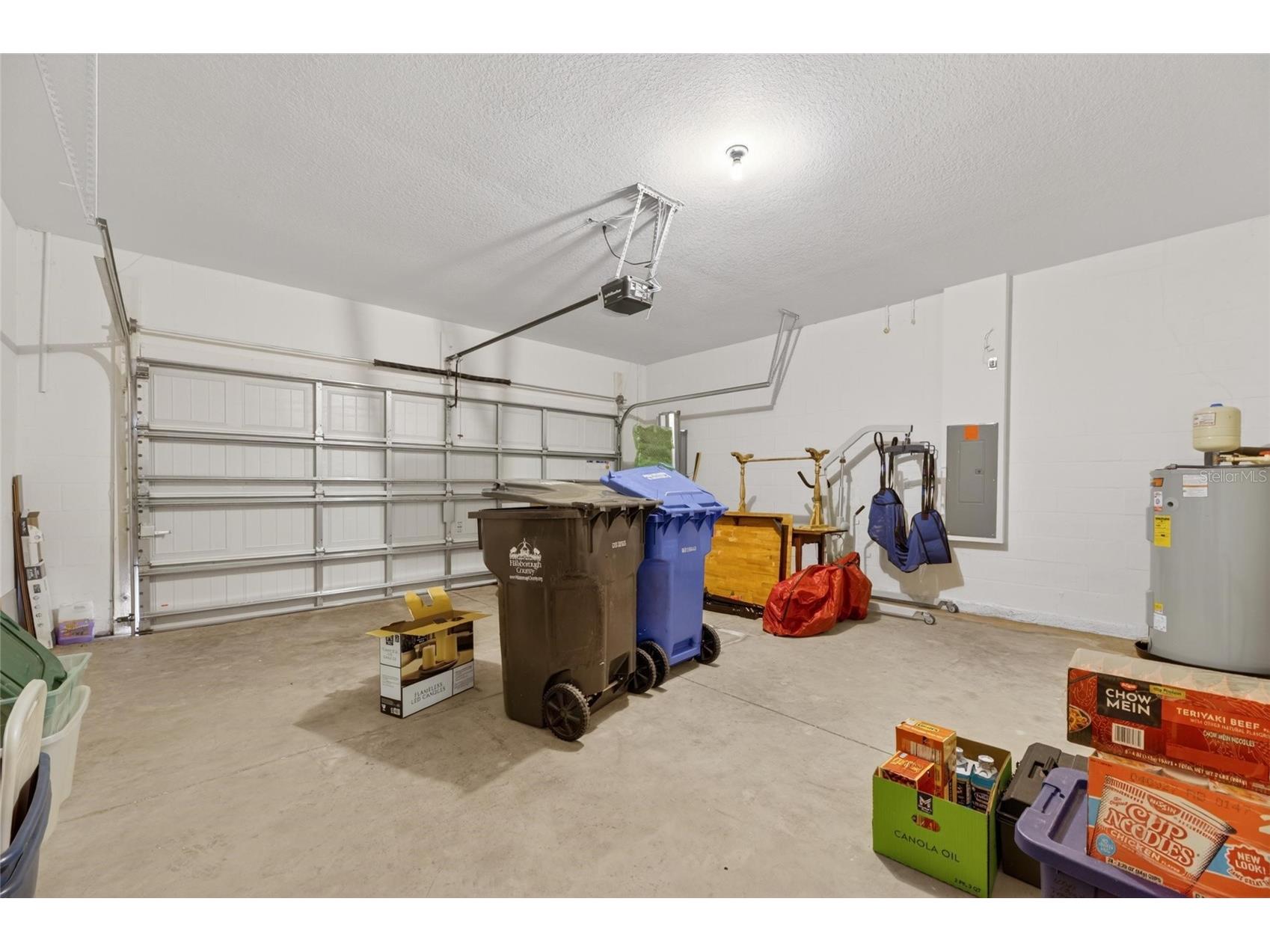 12433 Ballentrae Forest Drive Riverview FL 33579 TB8506794 image25