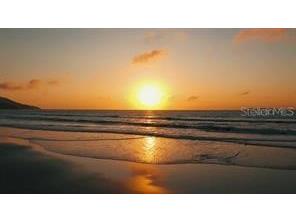 12433 Ballentrae Forest Drive Riverview FL 33579 TB8506794 image39