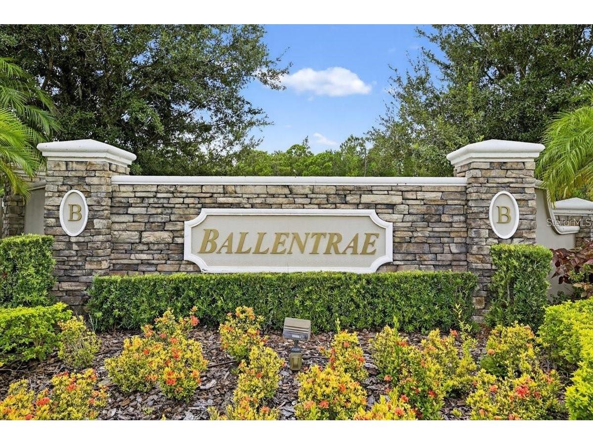 12433 Ballentrae Forest Drive Riverview FL 33579 TB8528547 image14
