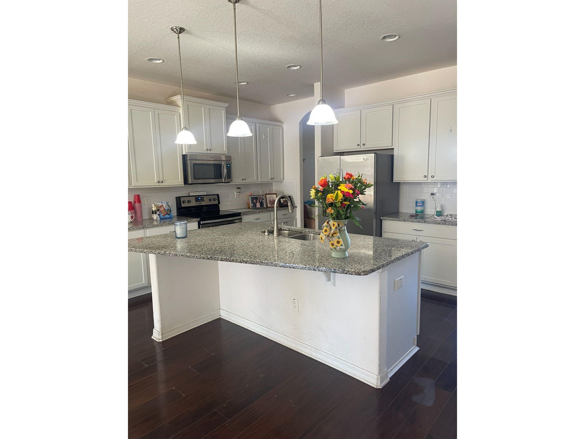 12433 Ballentrae Forest Drive Riverview FL 33579 TB8528547 image3