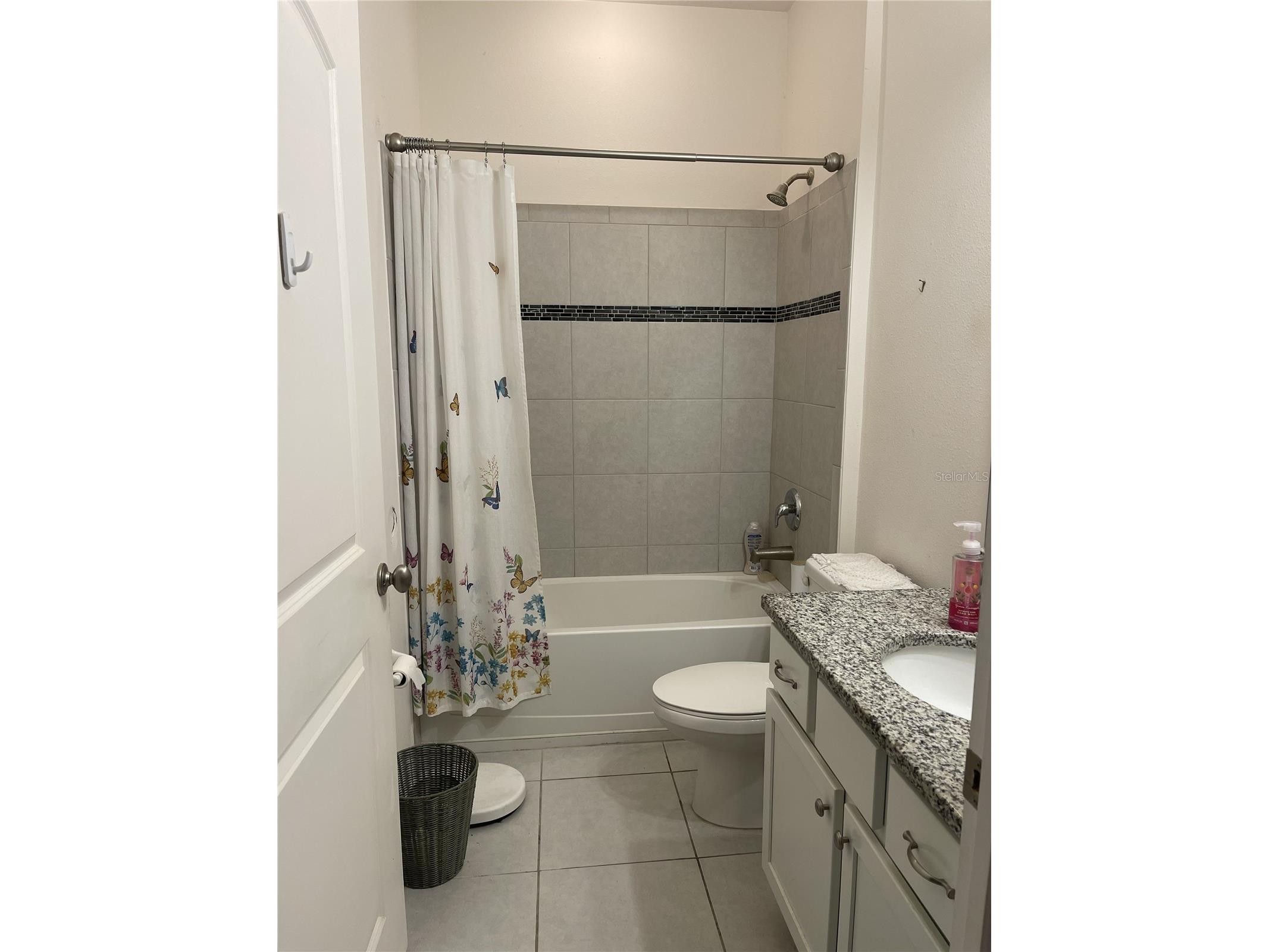 12433 Ballentrae Forest Drive Riverview FL 33579 TB8528547 image8
